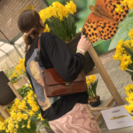 A backpacker’s guide to Amsterdam